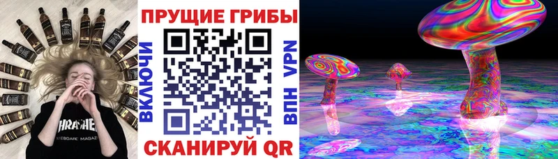 Галлюциногенные грибы прущие грибы  Купить где  Микунь 